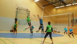 TVD-Volleyballer beim Vorbereitungsturnier in Grebenhain erfolgreich